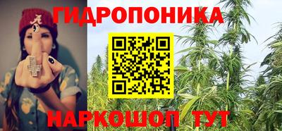 крисы Абакан