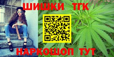 крисы Абакан