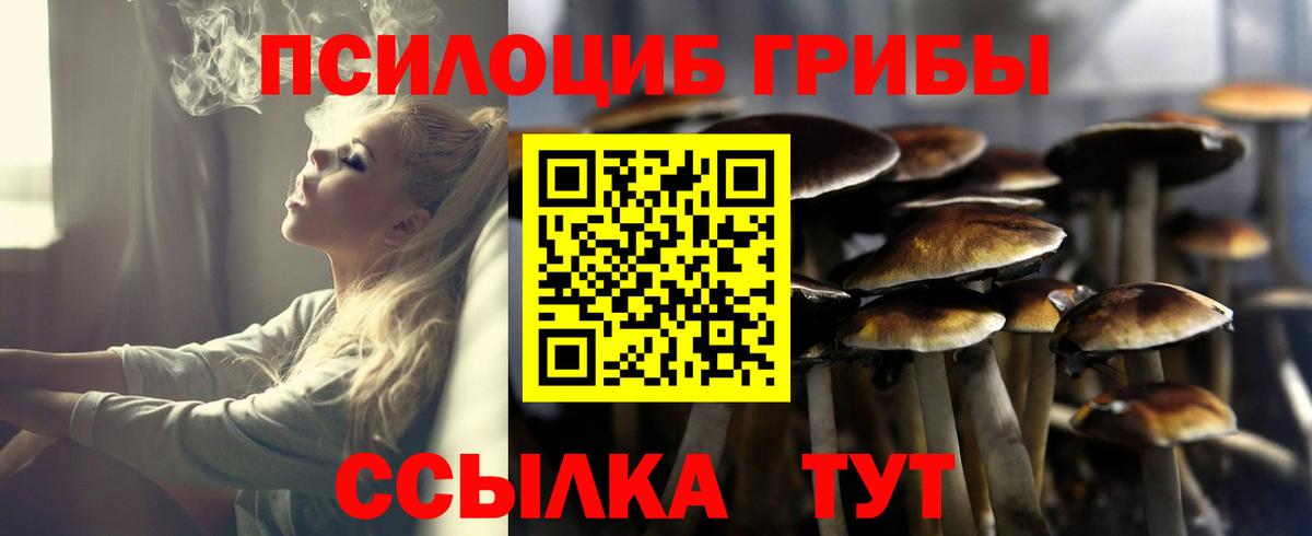 Псилоцибиновые грибы прущие грибы Алейск